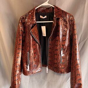 Intimo Women's Brown and Orange Jacket